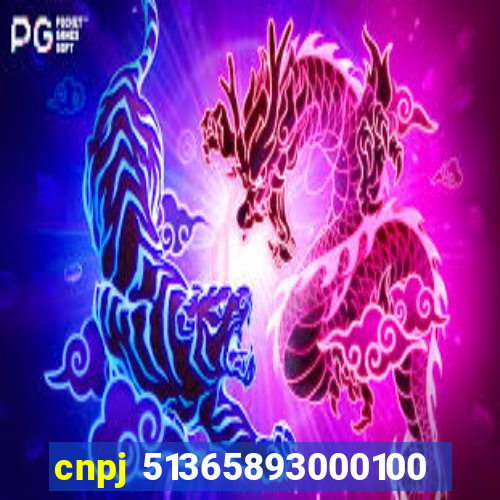 cnpj 51365893000100